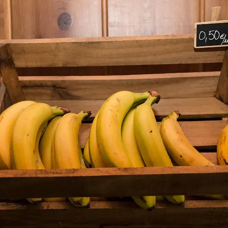 Vandrarhem A Reboleira - Casa Nunez Fonfría