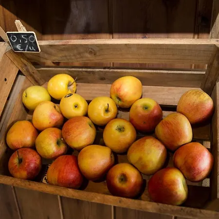 Vandrarhem A Reboleira - Casa Nunez