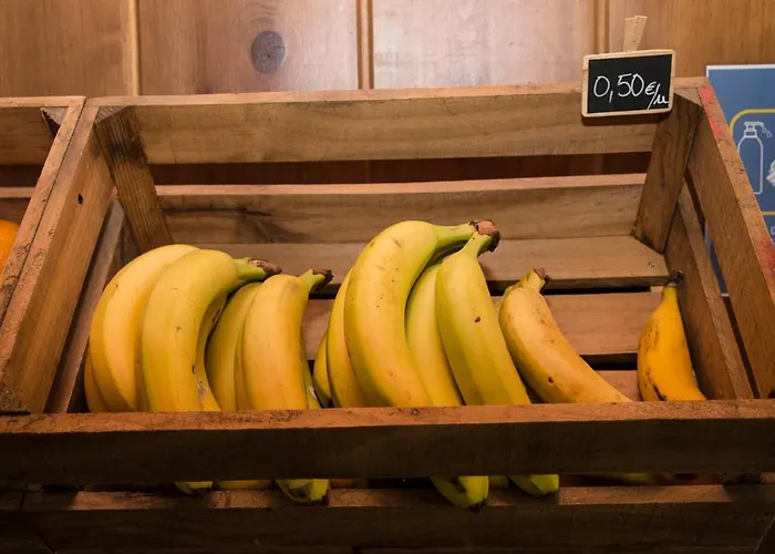 Hostel A Reboleira - Casa Nunez Fonfría