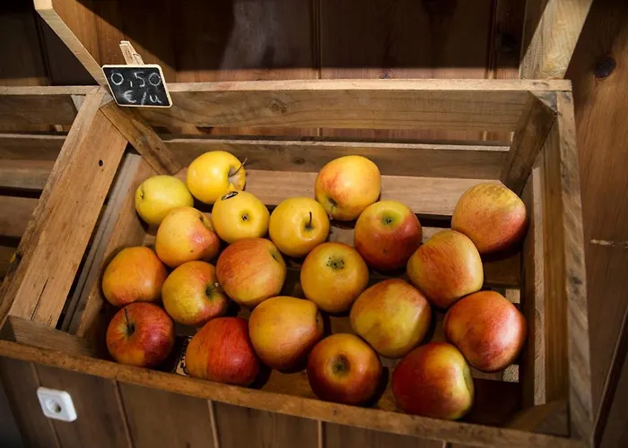 Hostel A Reboleira - Casa Nunez