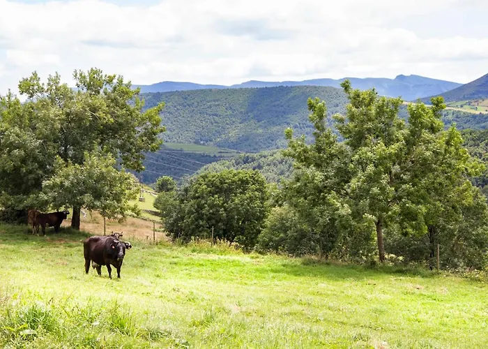 A Reboleira - Casa Nunez